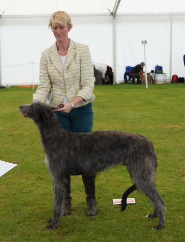 Best  Welsh Kennel Club 2011